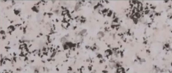 PB 3039 Black Galaxy
