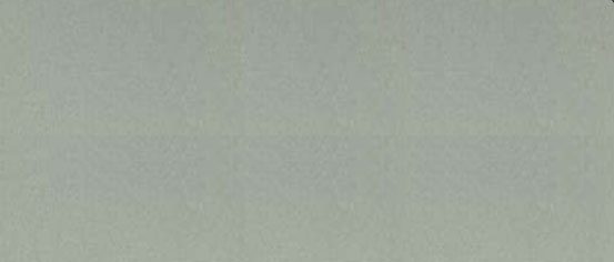 PB 1003 Champagne Silver