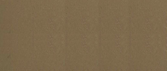 PB 1007 Metallic Bronze