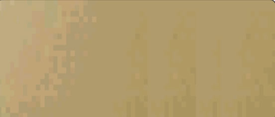 PB 1009 Metallic Gold