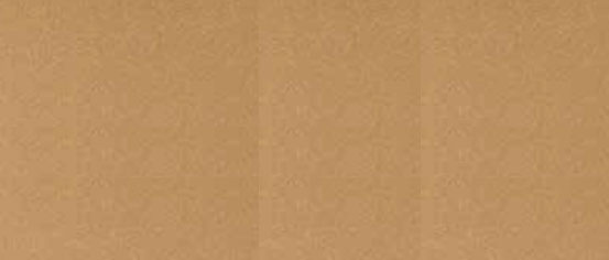 PB 1010 Copper Gold